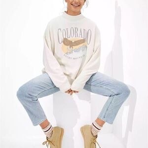 American Eagle Colorado sweater